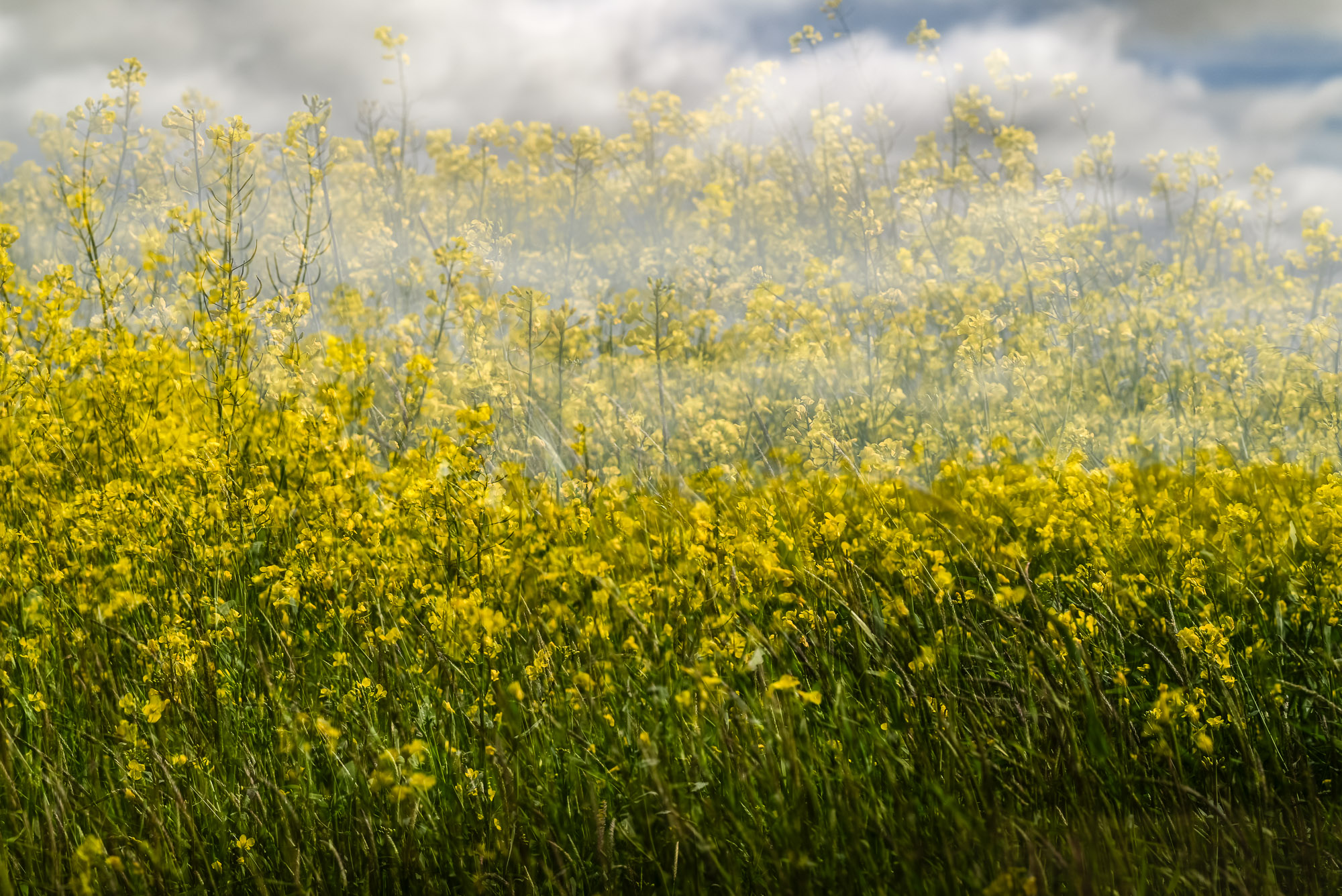 AF-S Nikkor 85mm f/1.8G